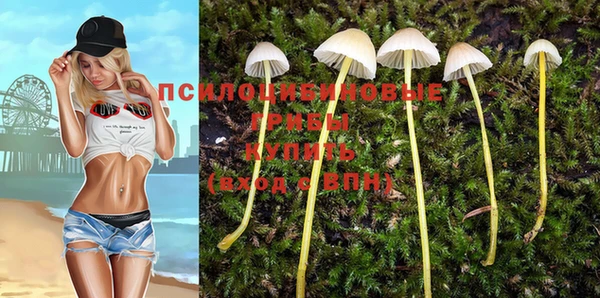 экстази Новодвинск