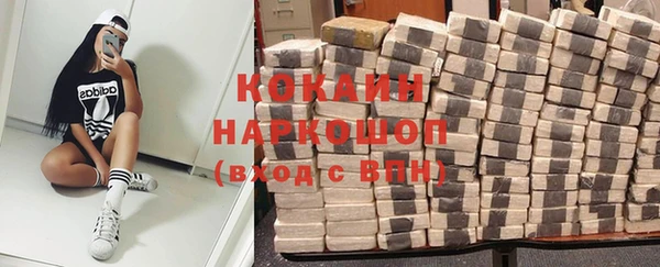 гидра Новокубанск