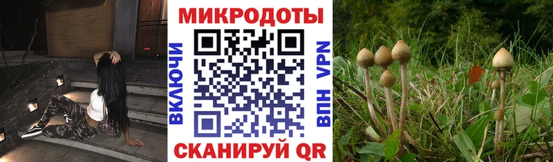 Псилоцибиновые грибы GOLDEN TEACHER  Радужный 